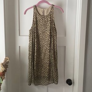 Abercrombie Leopard Dress Medium